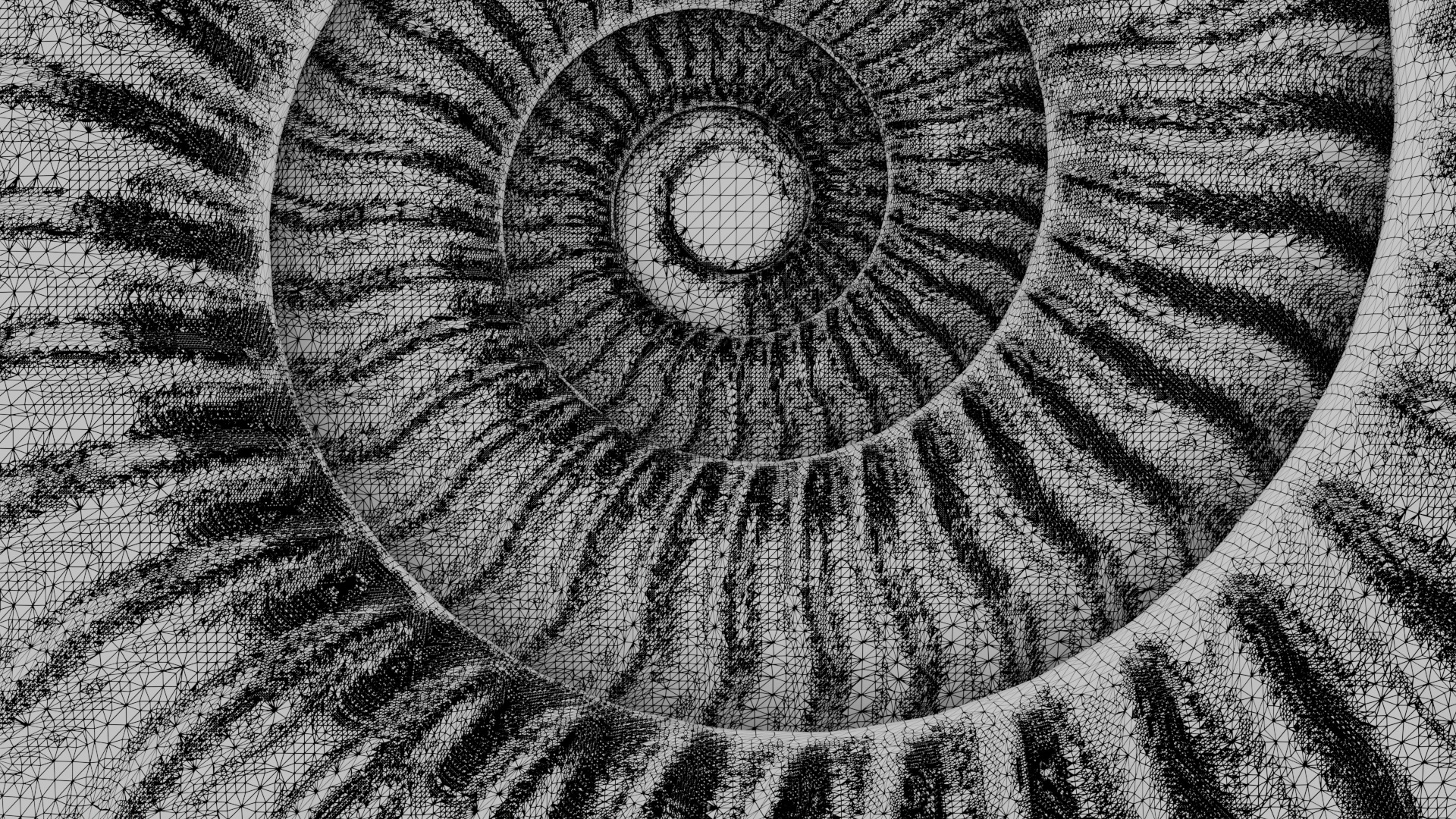 Ammonoid shell with sinuous ribs 3D model_7