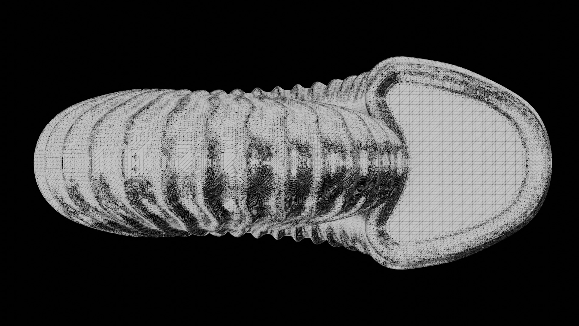Ammonoid shell with sinuous ribs 3D model_5
