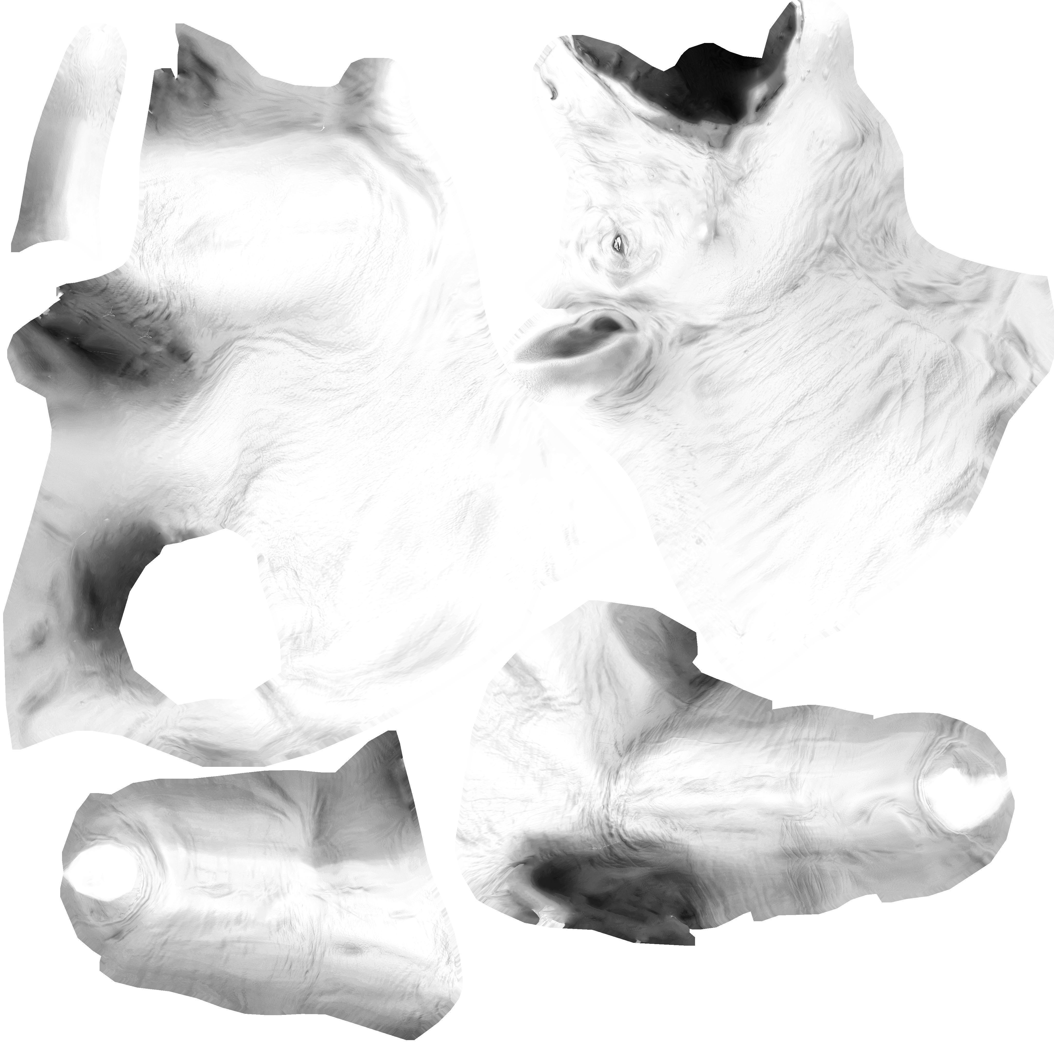 Daeodon Low-poly 3D model_7