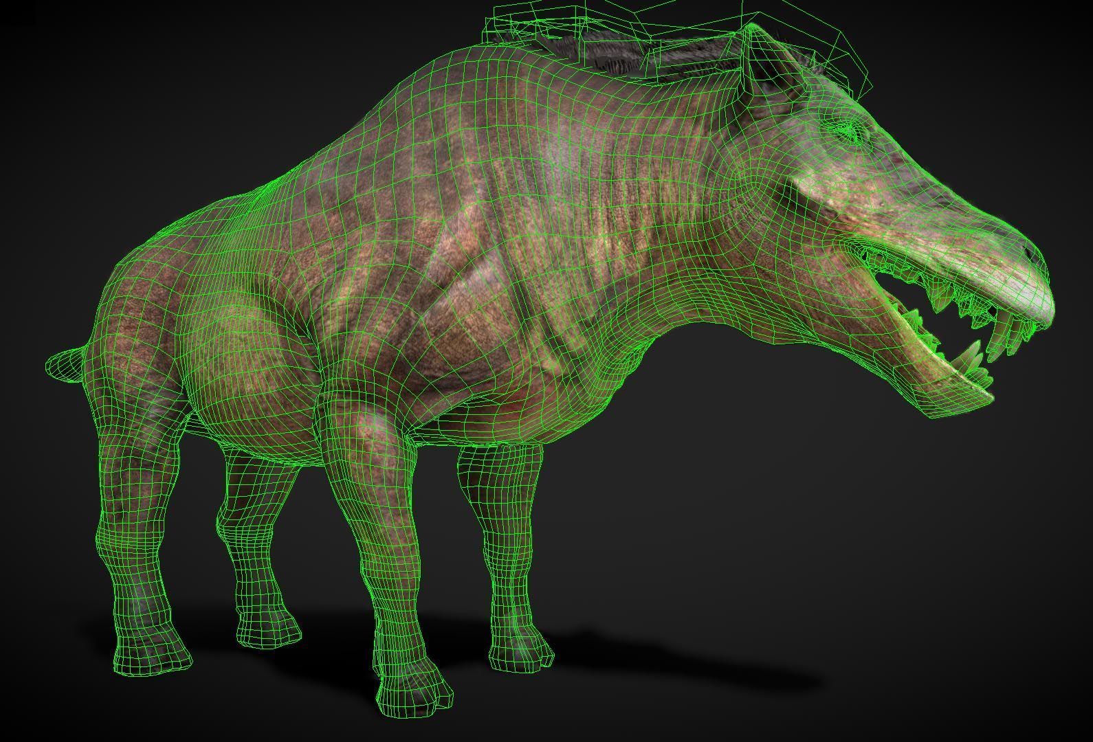 Daeodon Low-poly 3D model_5