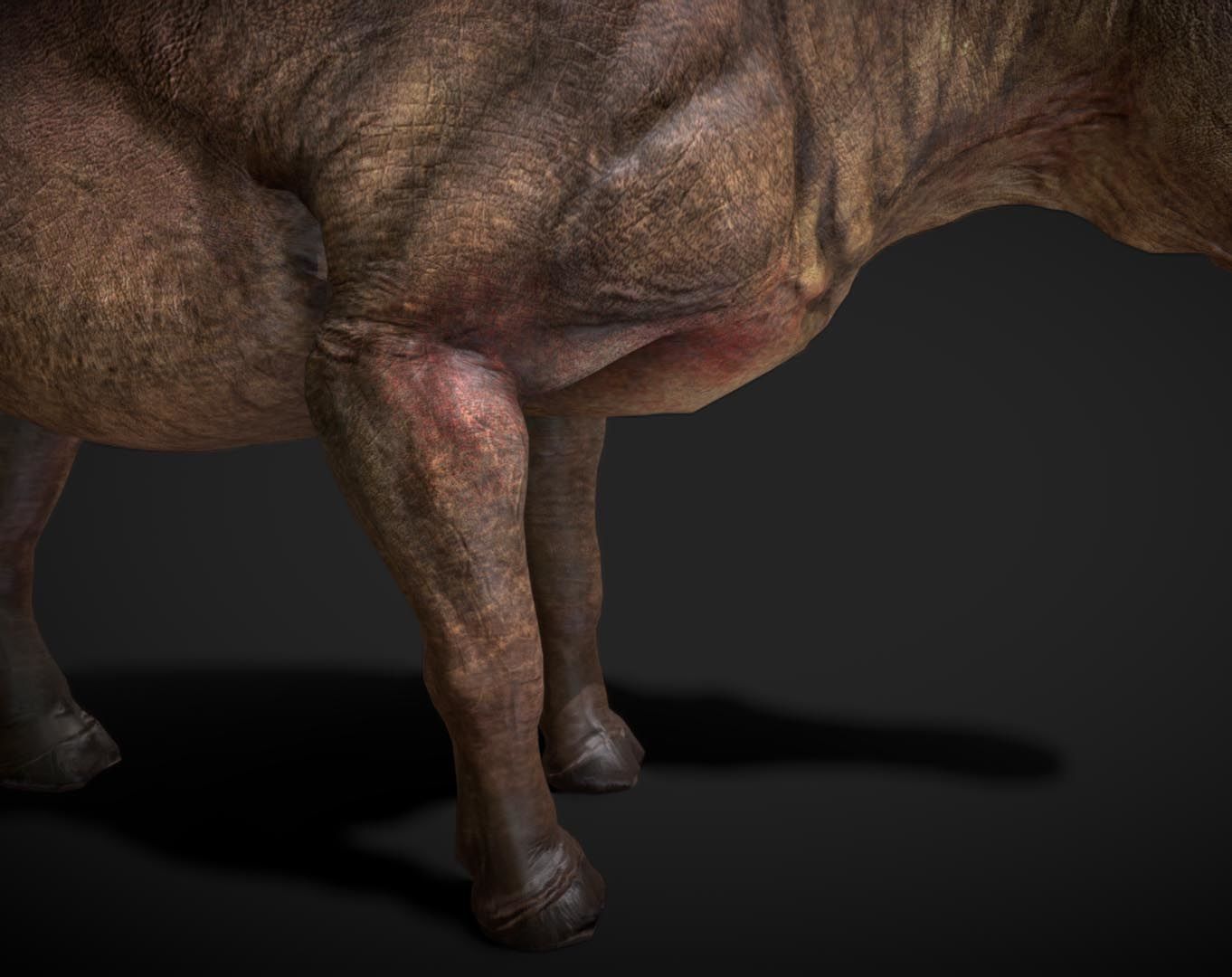 Daeodon Low-poly 3D model_4