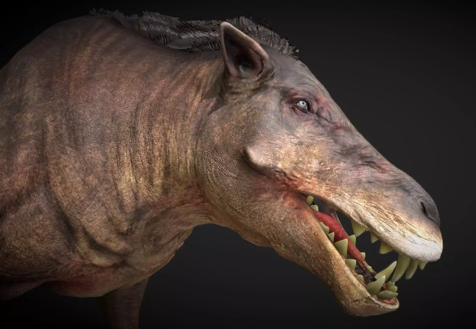 Daeodon Low-poly 3D model_0