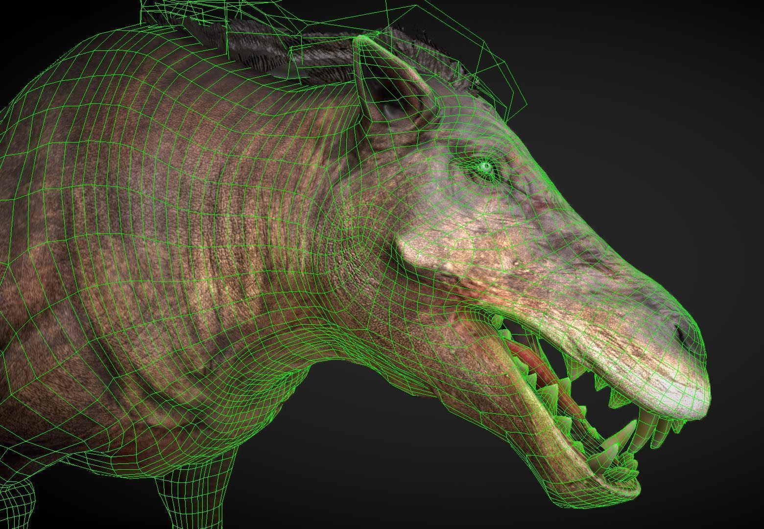 Daeodon Low-poly 3D model_1