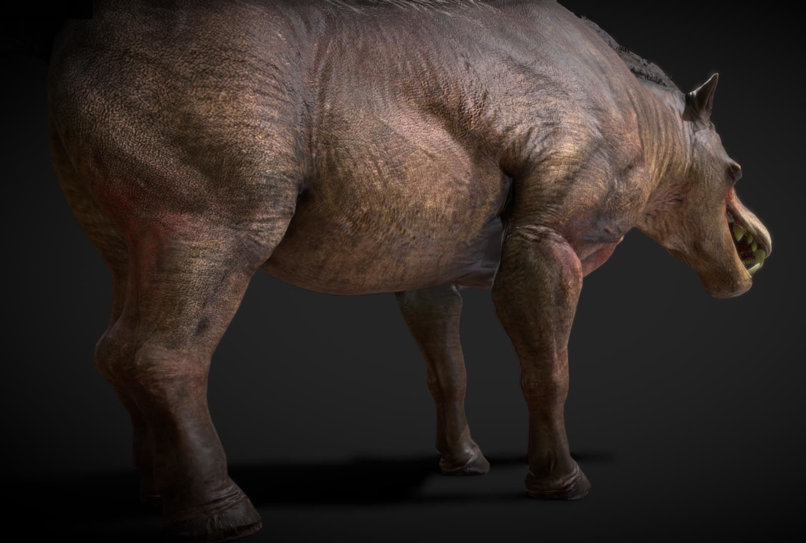 Daeodon Low-poly 3D model_2