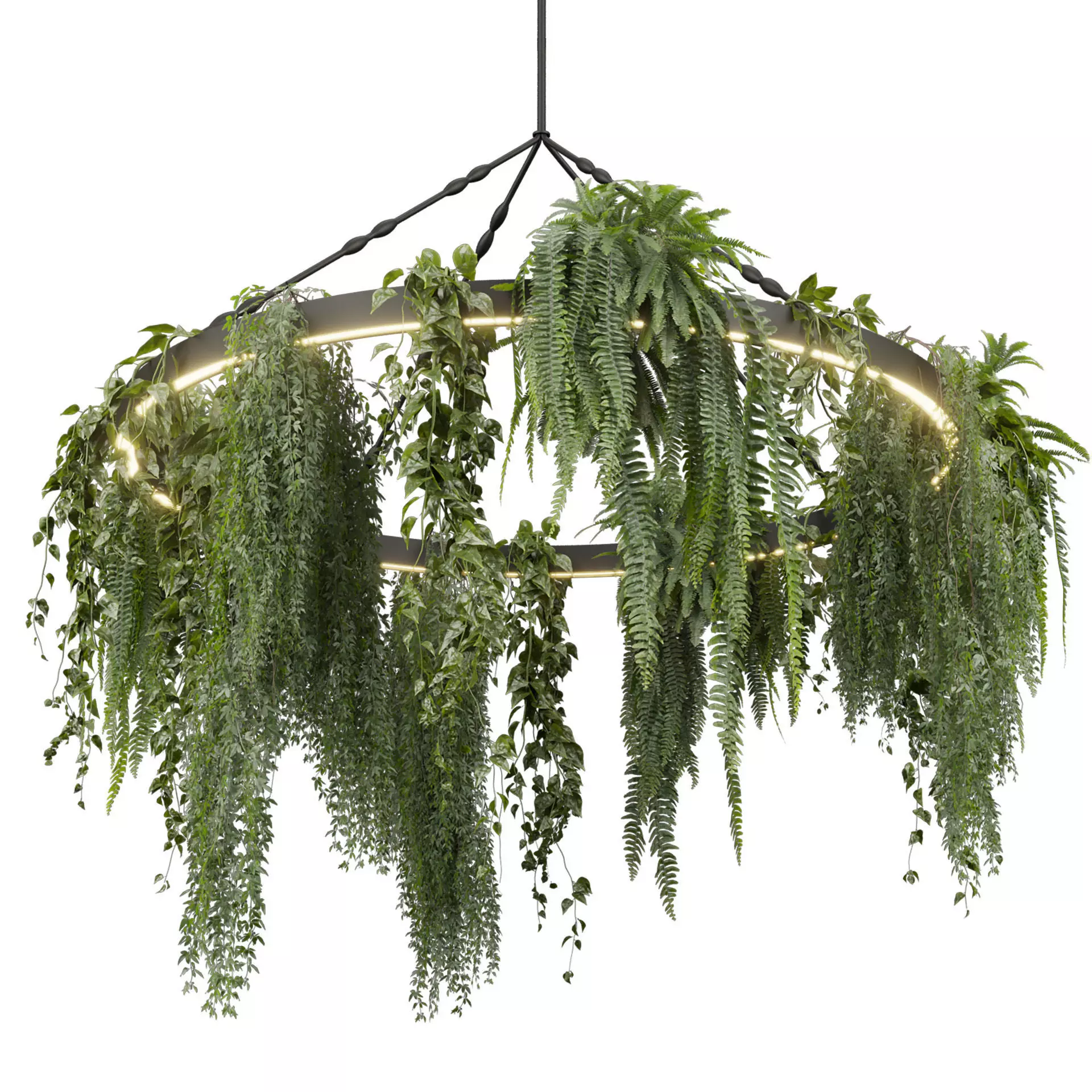 Collection plant vol 603 - Hanging - Pothos - Fern - Chandelier 3D model