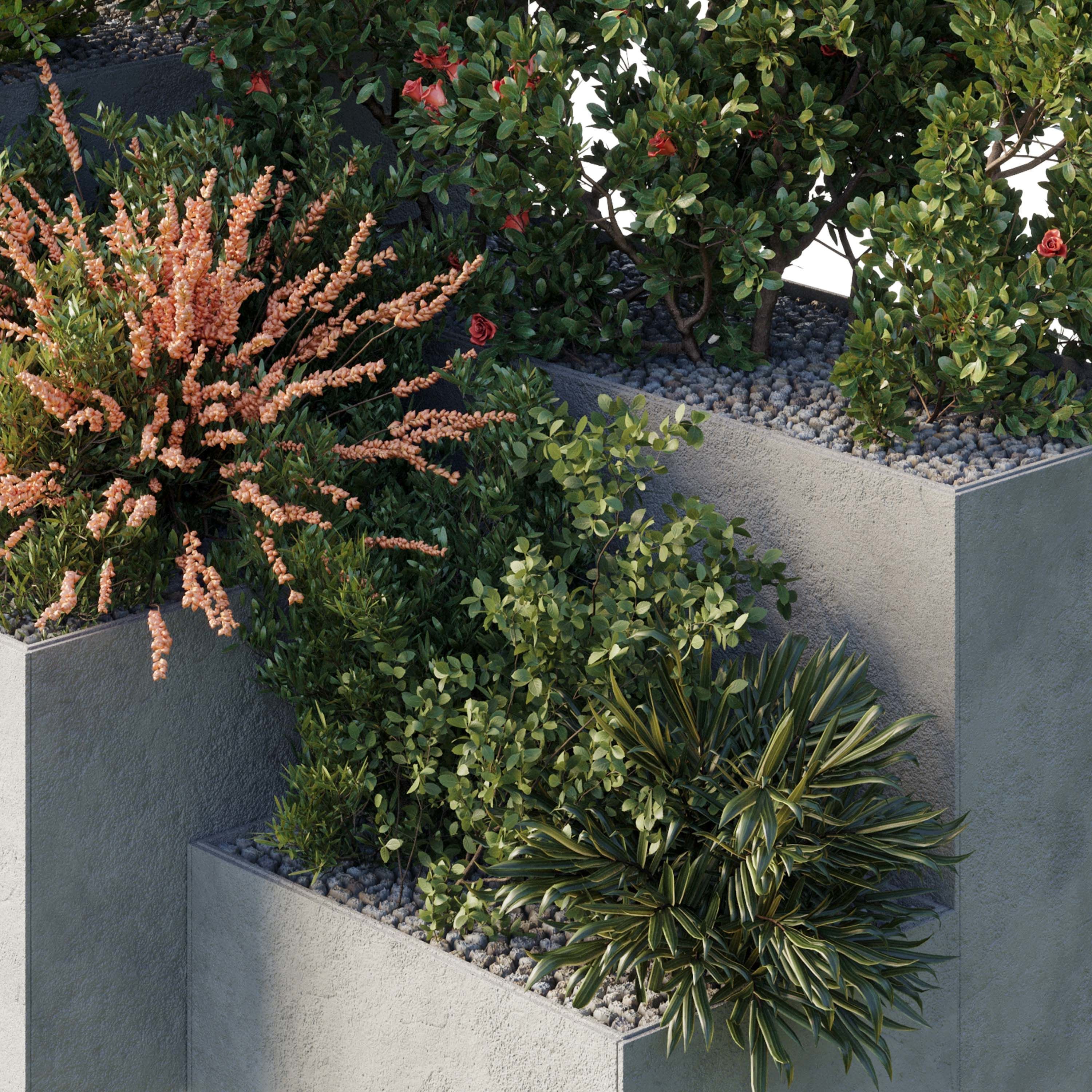 Garden Plants Flowers Box - Outdoor Plants 212 3D model_4