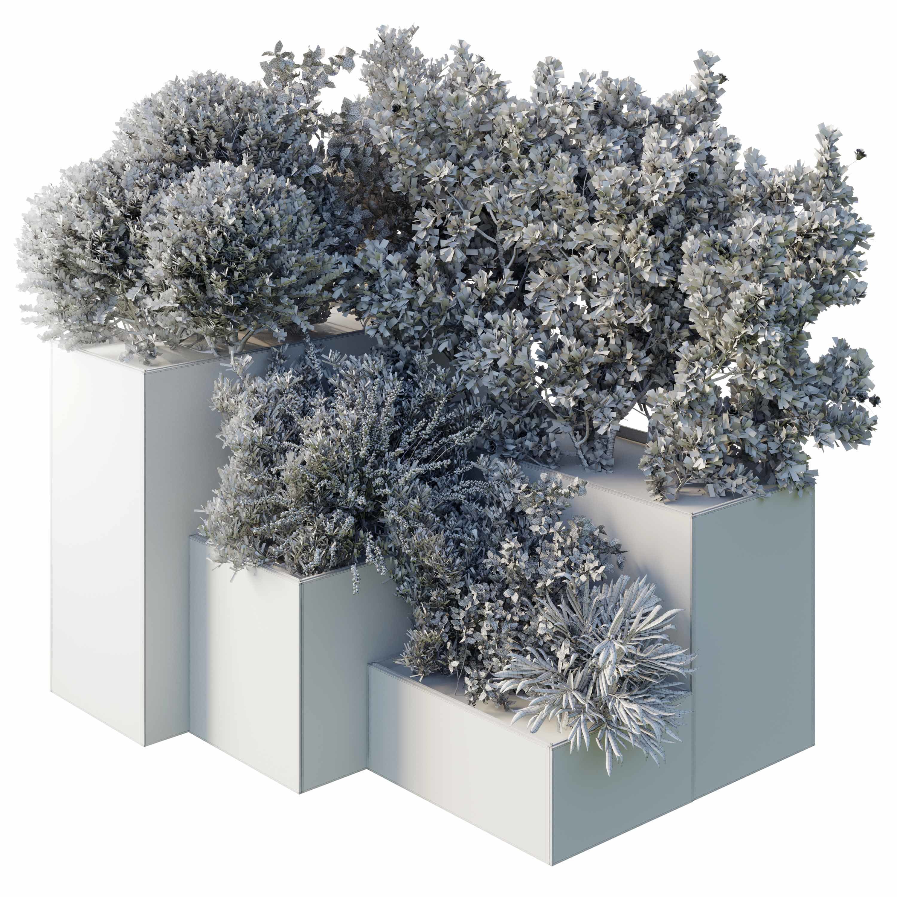 Garden Plants Flowers Box - Outdoor Plants 212 3D model_5