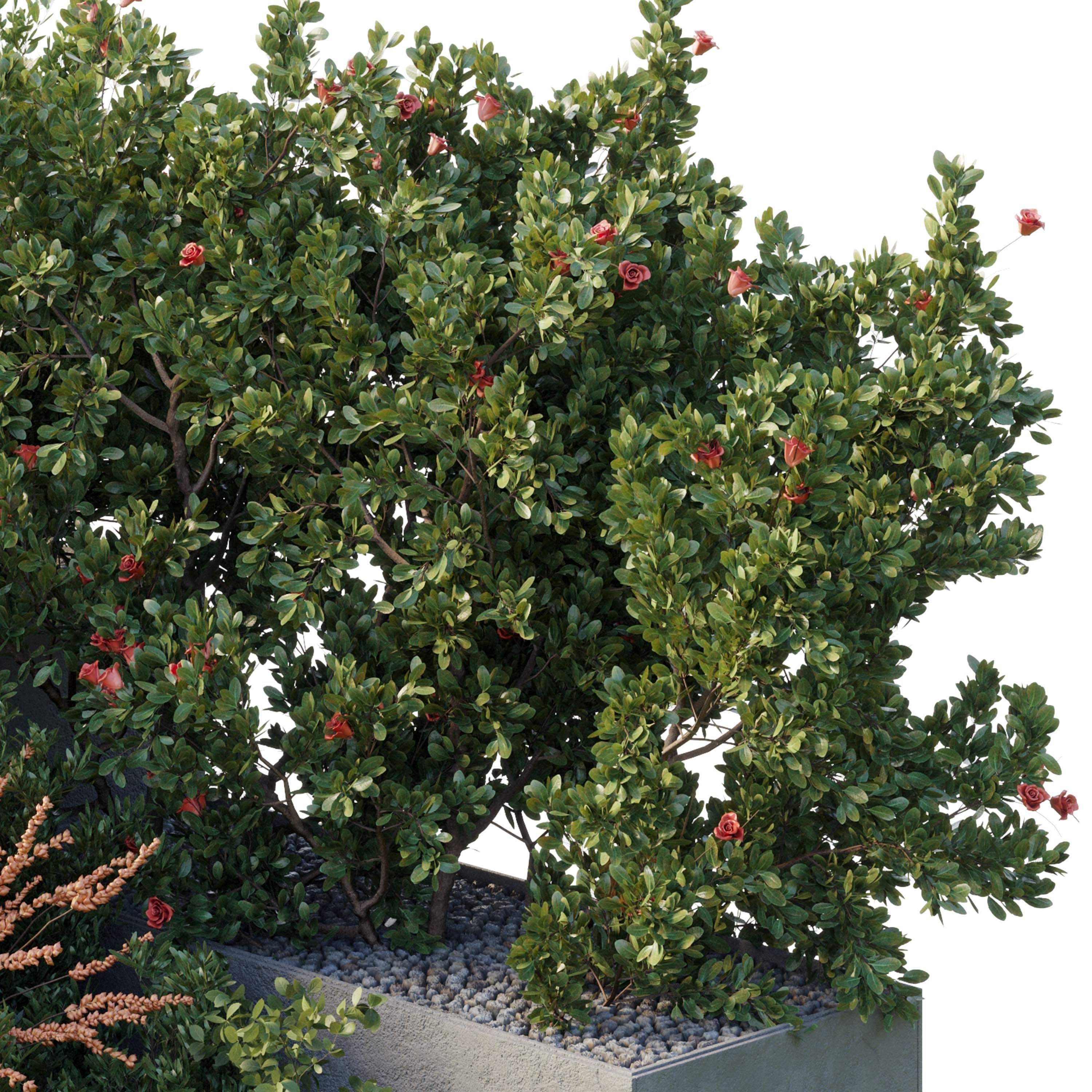 Garden Plants Flowers Box - Outdoor Plants 212 3D model_2