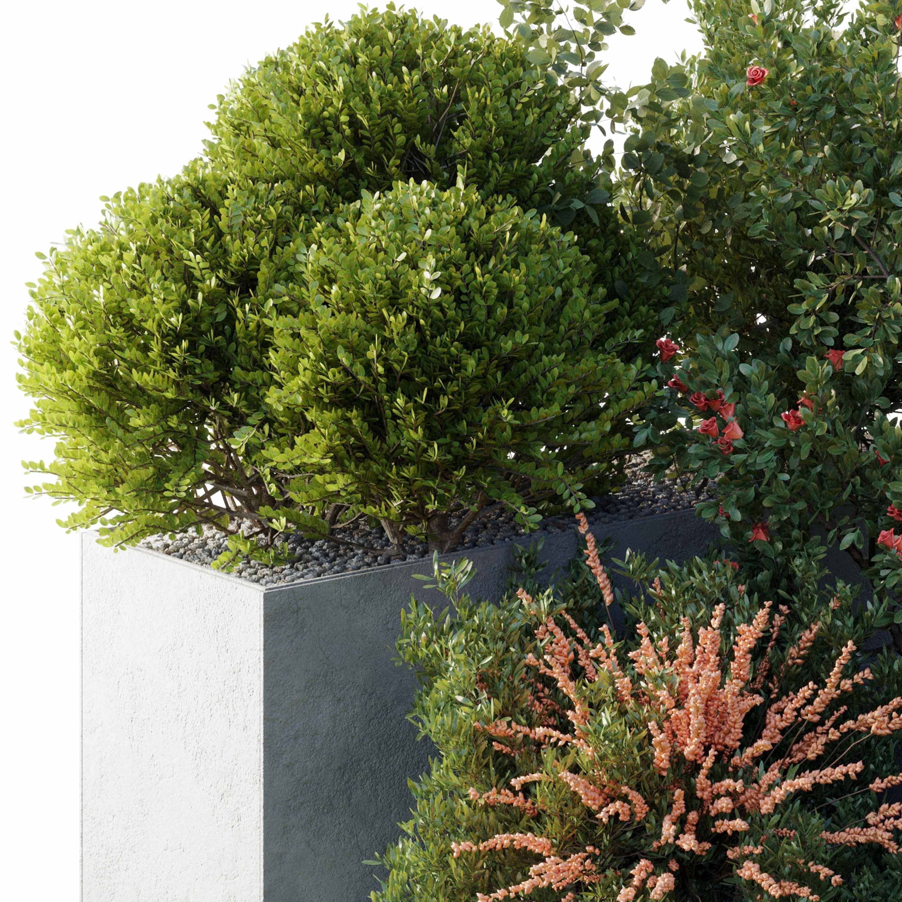 Garden Plants Flowers Box - Outdoor Plants 212 3D model_3