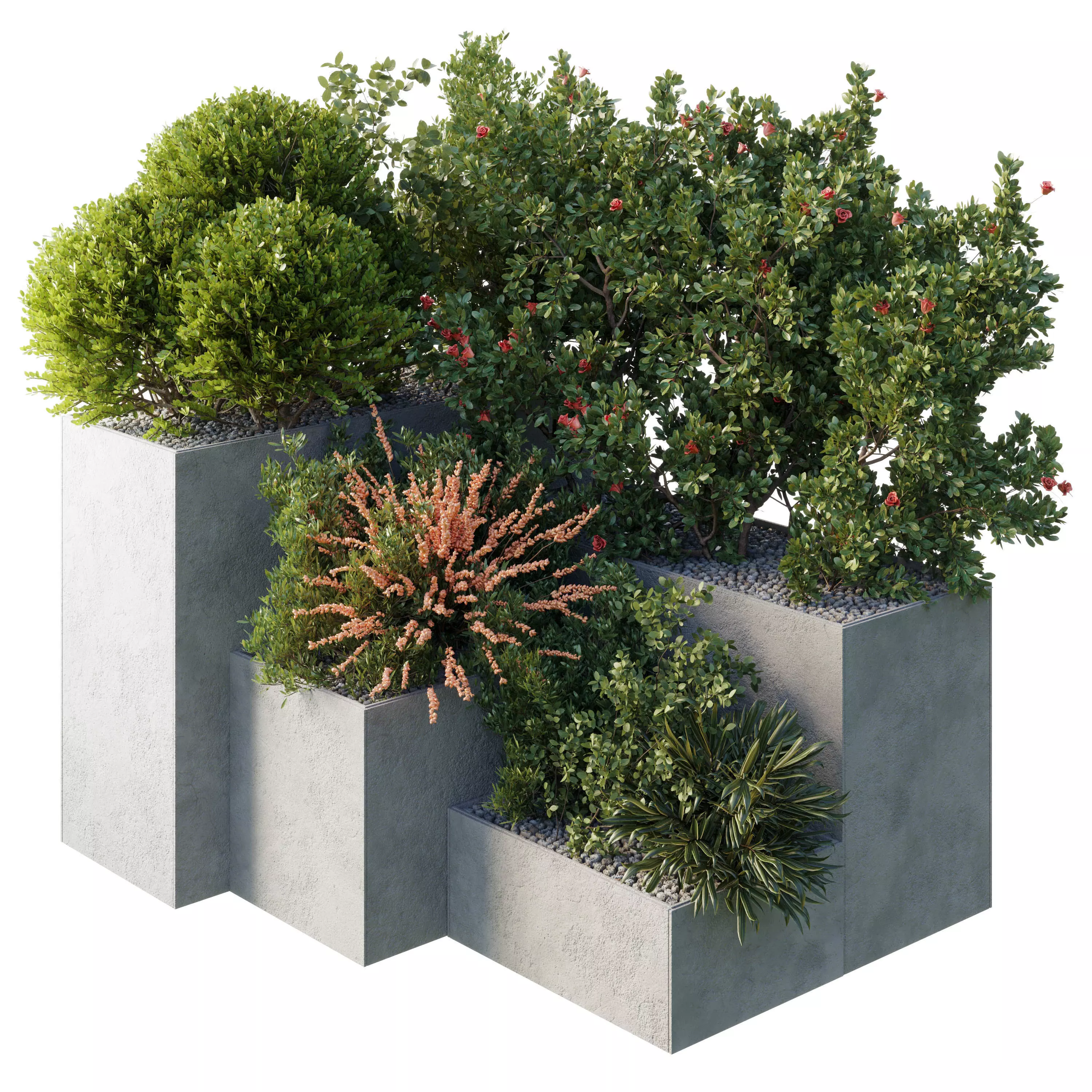 Garden Plants Flowers Box - Outdoor Plants 212 3D model_0