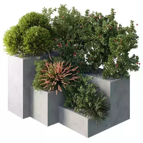Garden Plants Flowers Box - Outdoor Plants 212 3D model