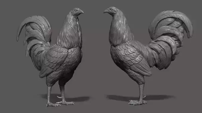 Rooster fighting 3D print model