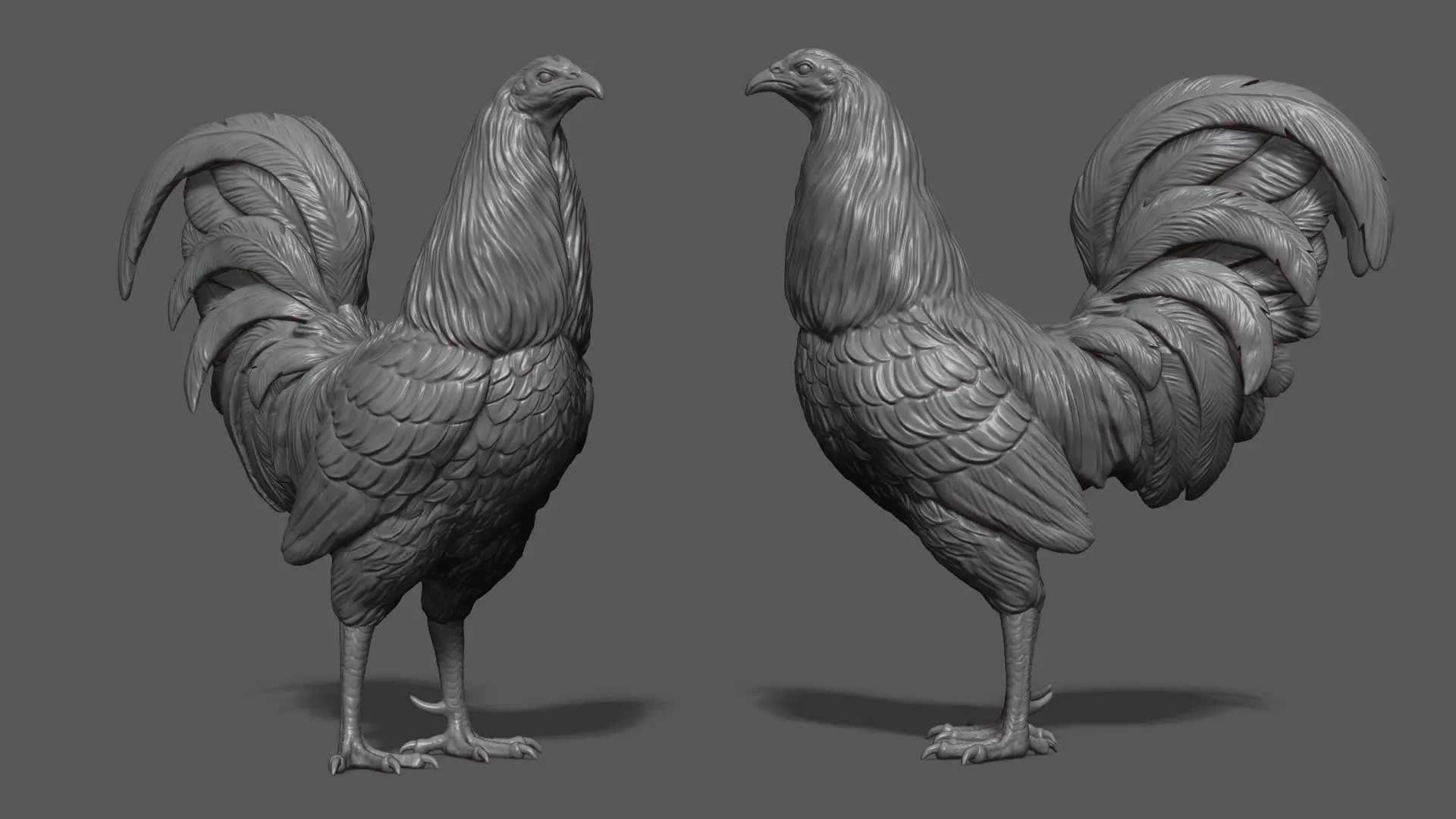 Rooster fighting 3D print model