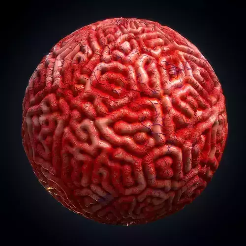 Brain material infection - VOL 05 - SBS - Maps Texture