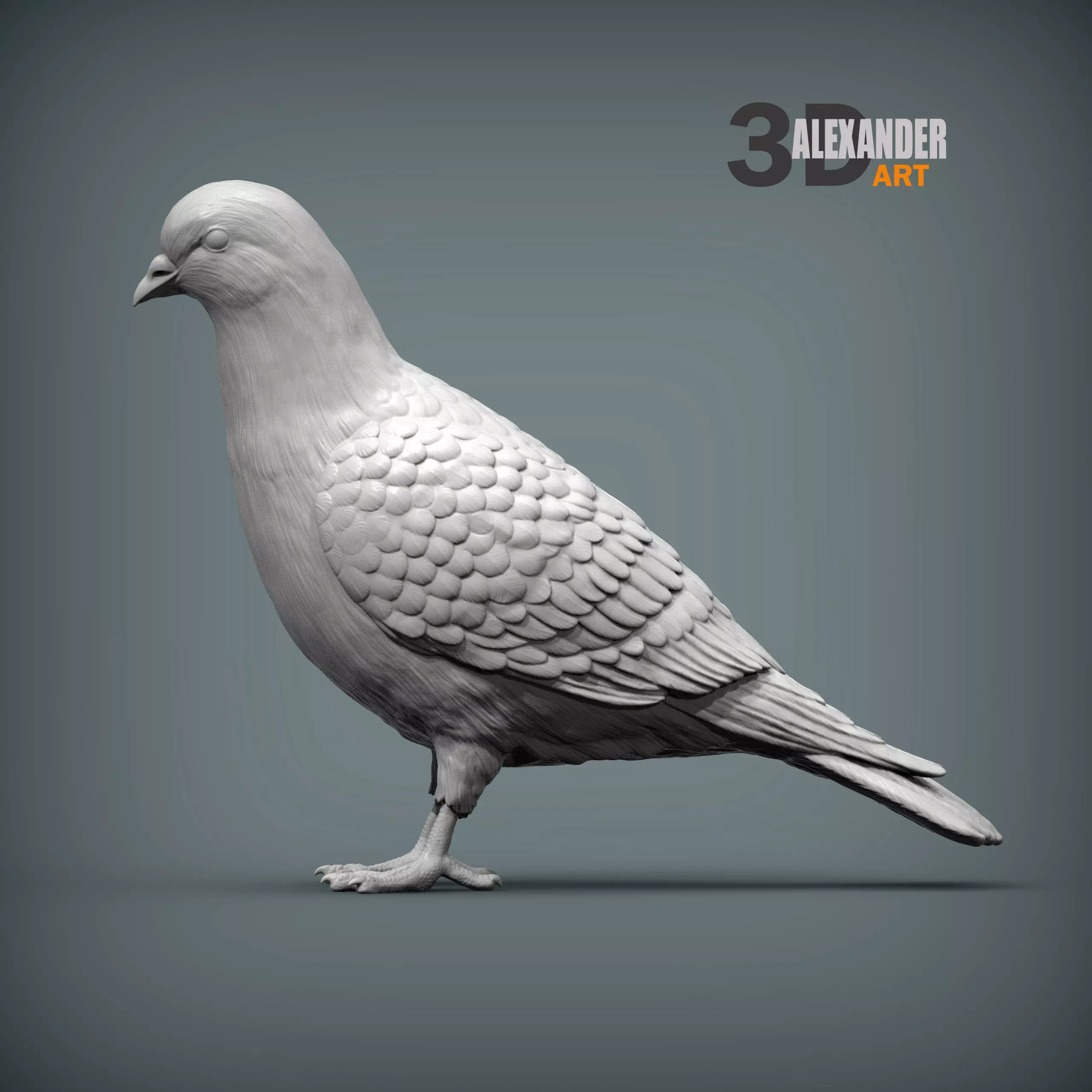 Pigeon 3D print model