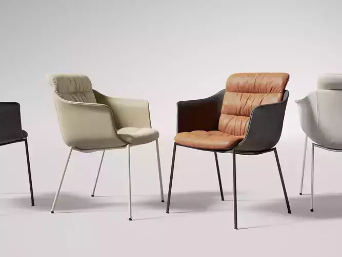 DS 525 22 Tosca Armchair 3D model