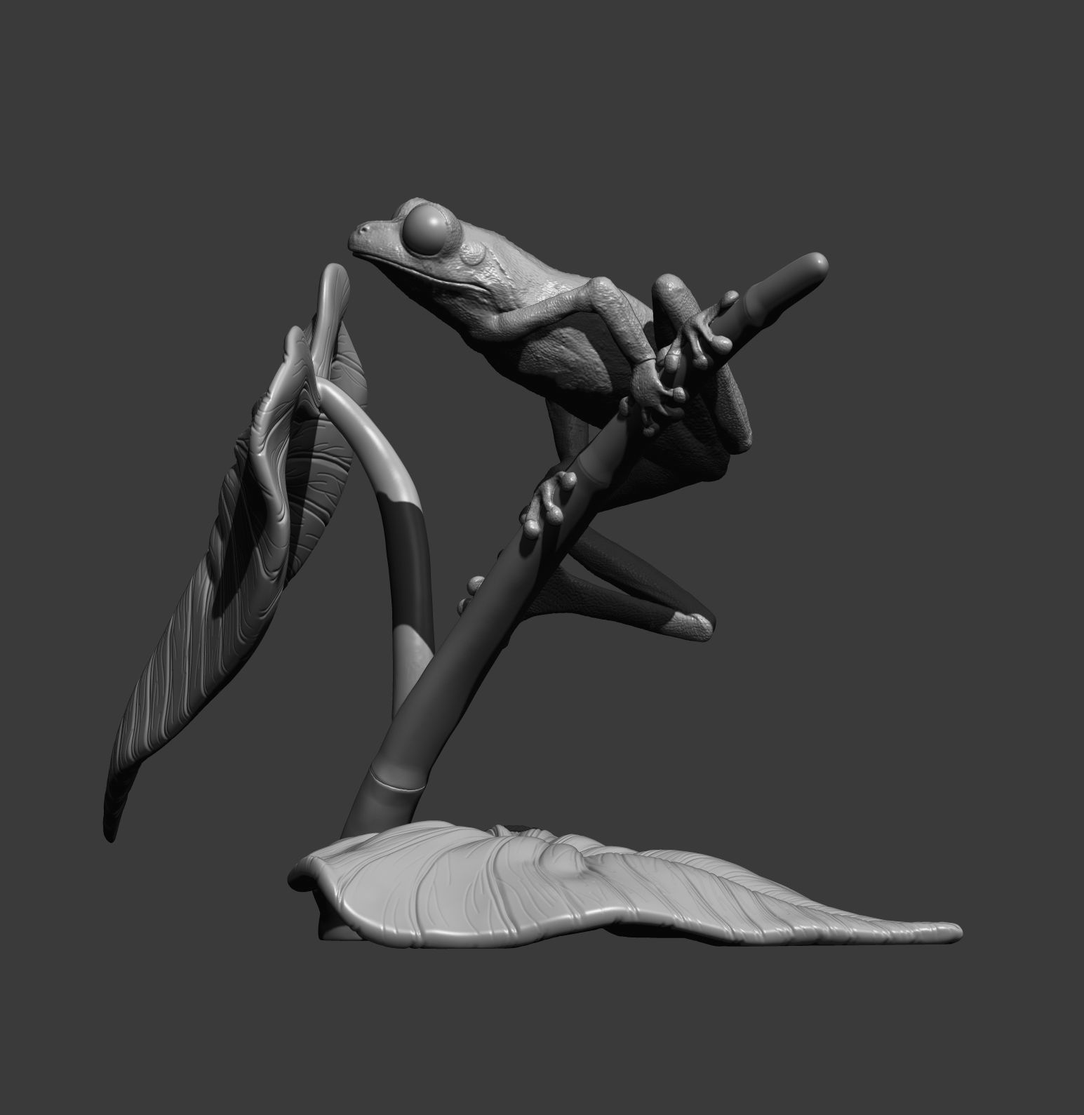 Red-eyed tree frog on a twig 3D print model_7