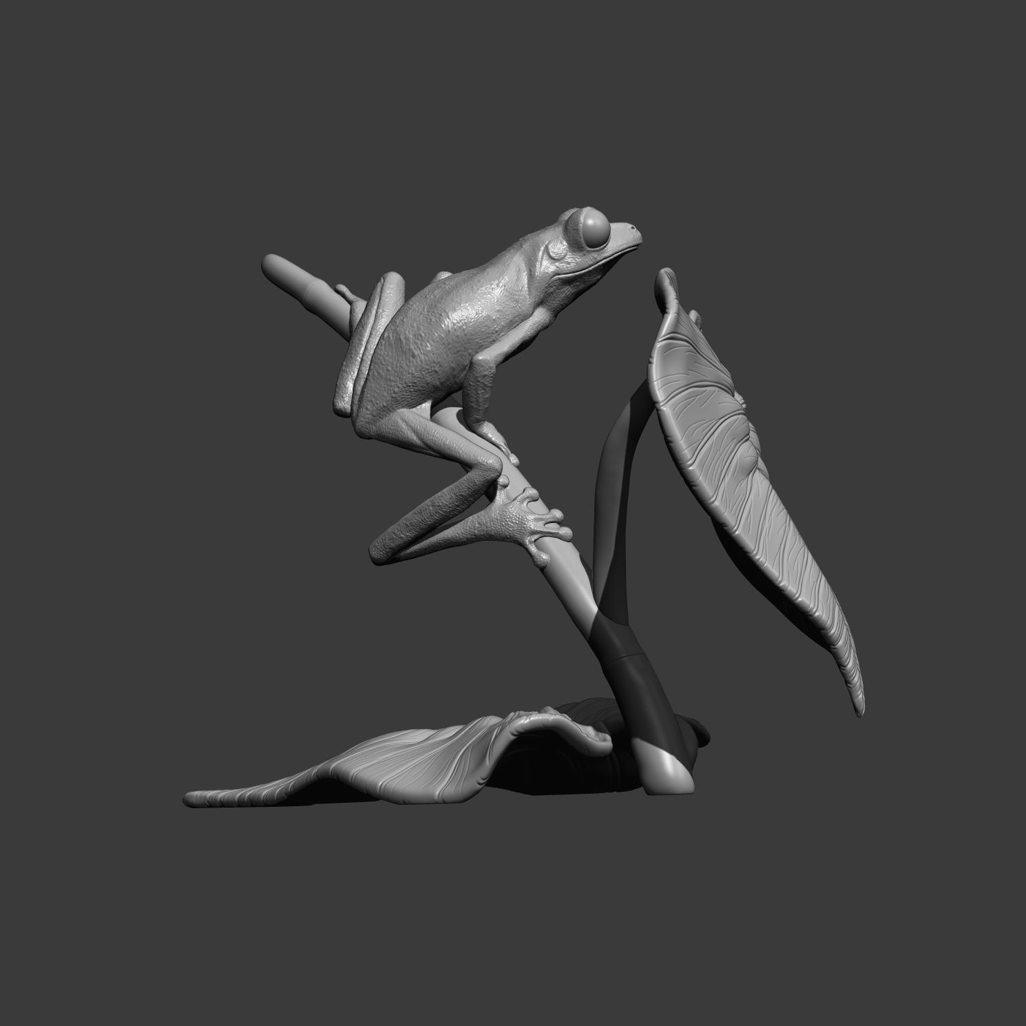 Red-eyed tree frog on a twig 3D print model_8