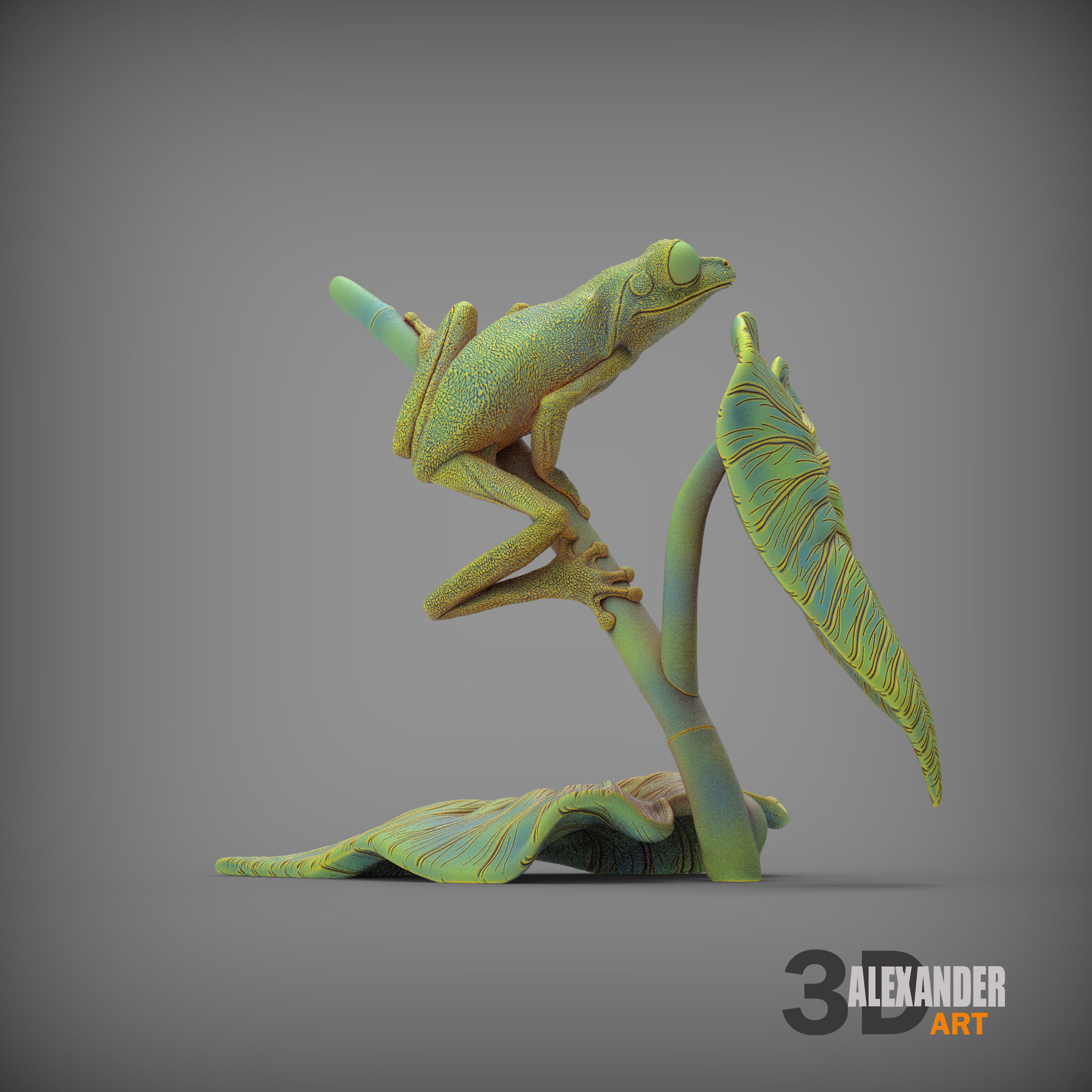 Red-eyed tree frog on a twig 3D print model_2