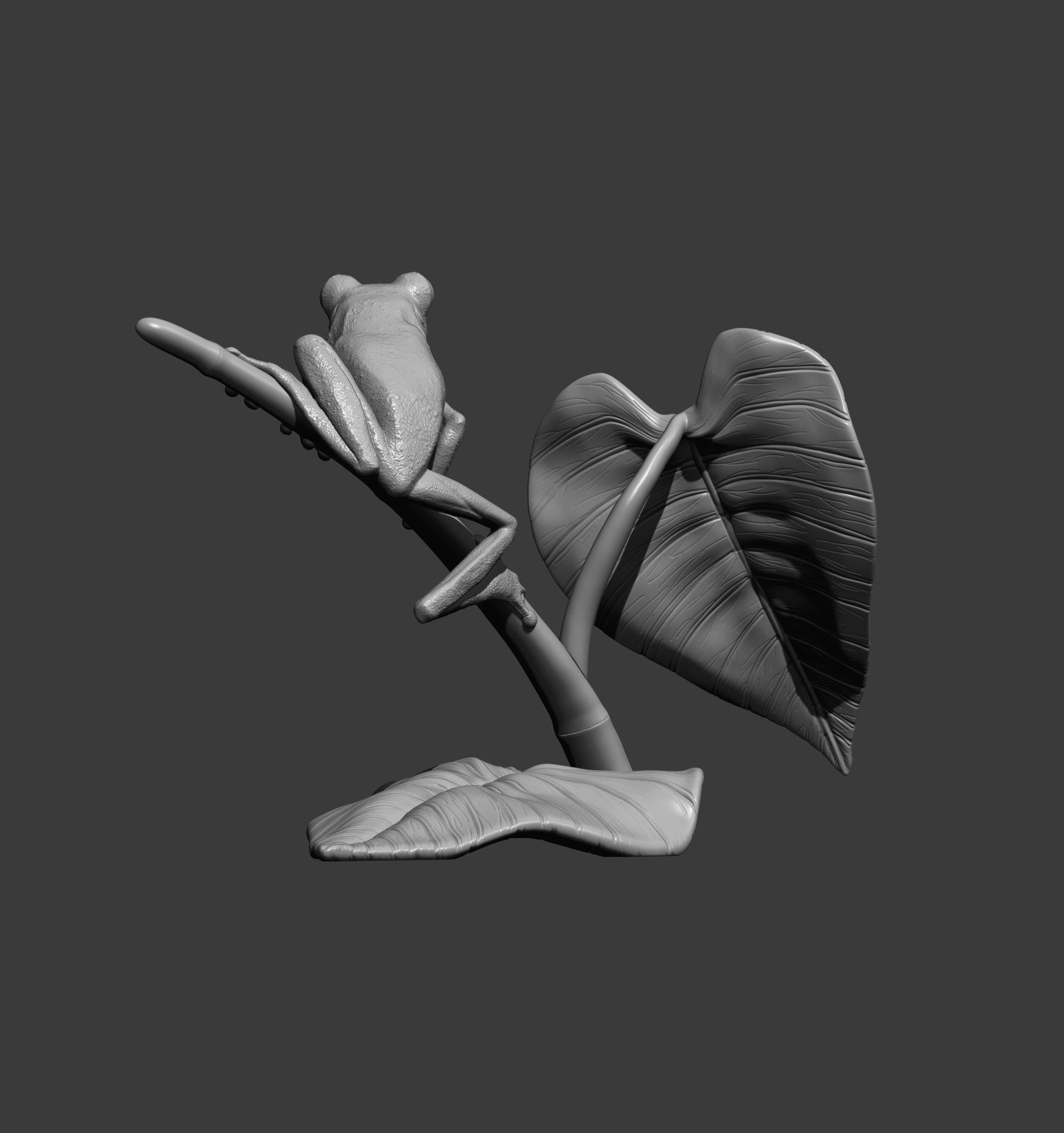 Red-eyed tree frog on a twig 3D print model_11