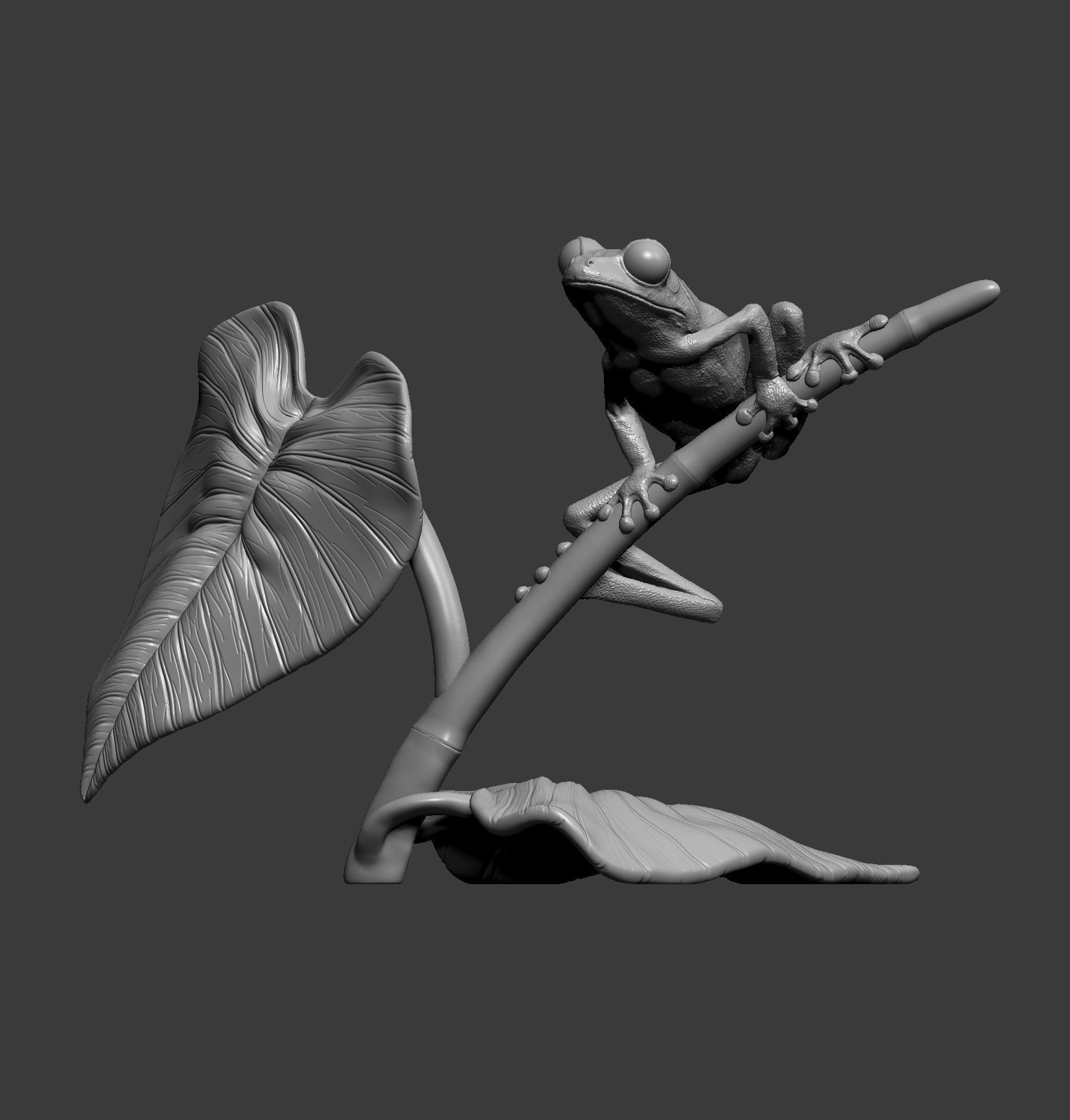 Red-eyed tree frog on a twig 3D print model_9