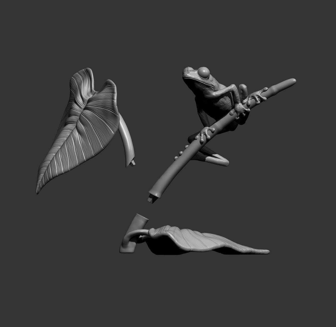 Red-eyed tree frog on a twig 3D print model_5