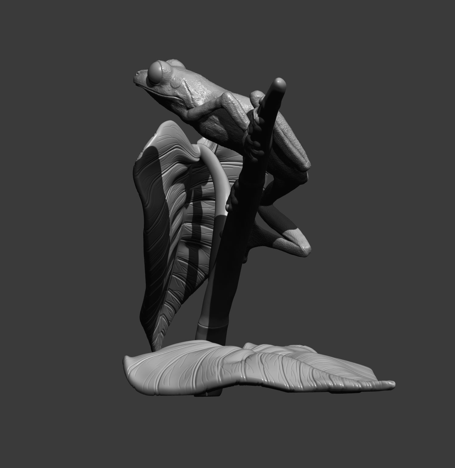 Red-eyed tree frog on a twig 3D print model_6