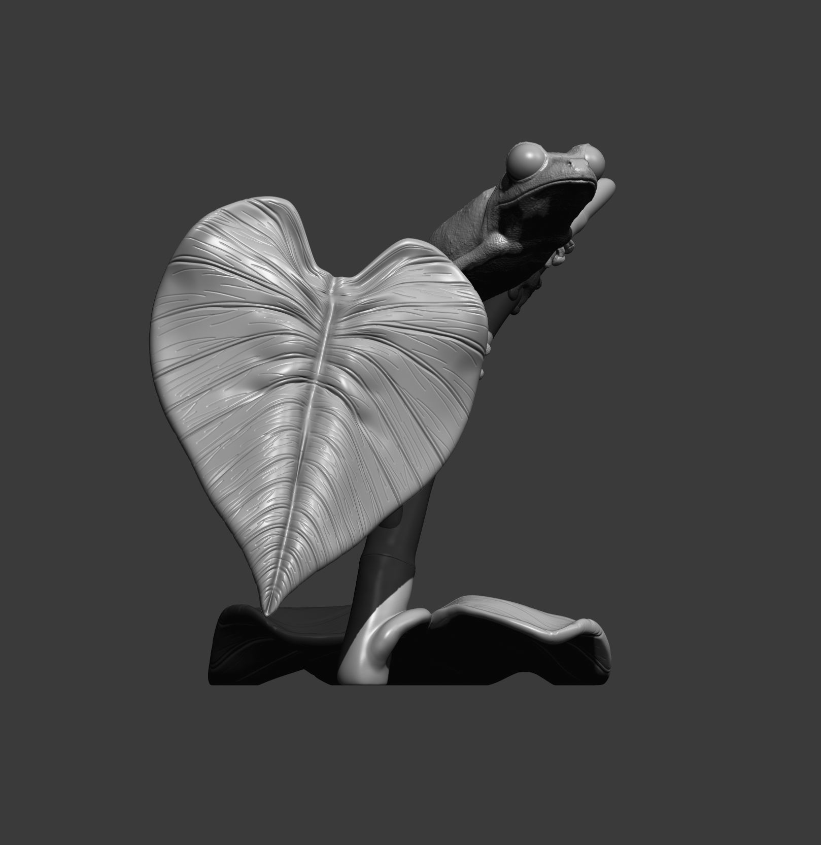 Red-eyed tree frog on a twig 3D print model_10