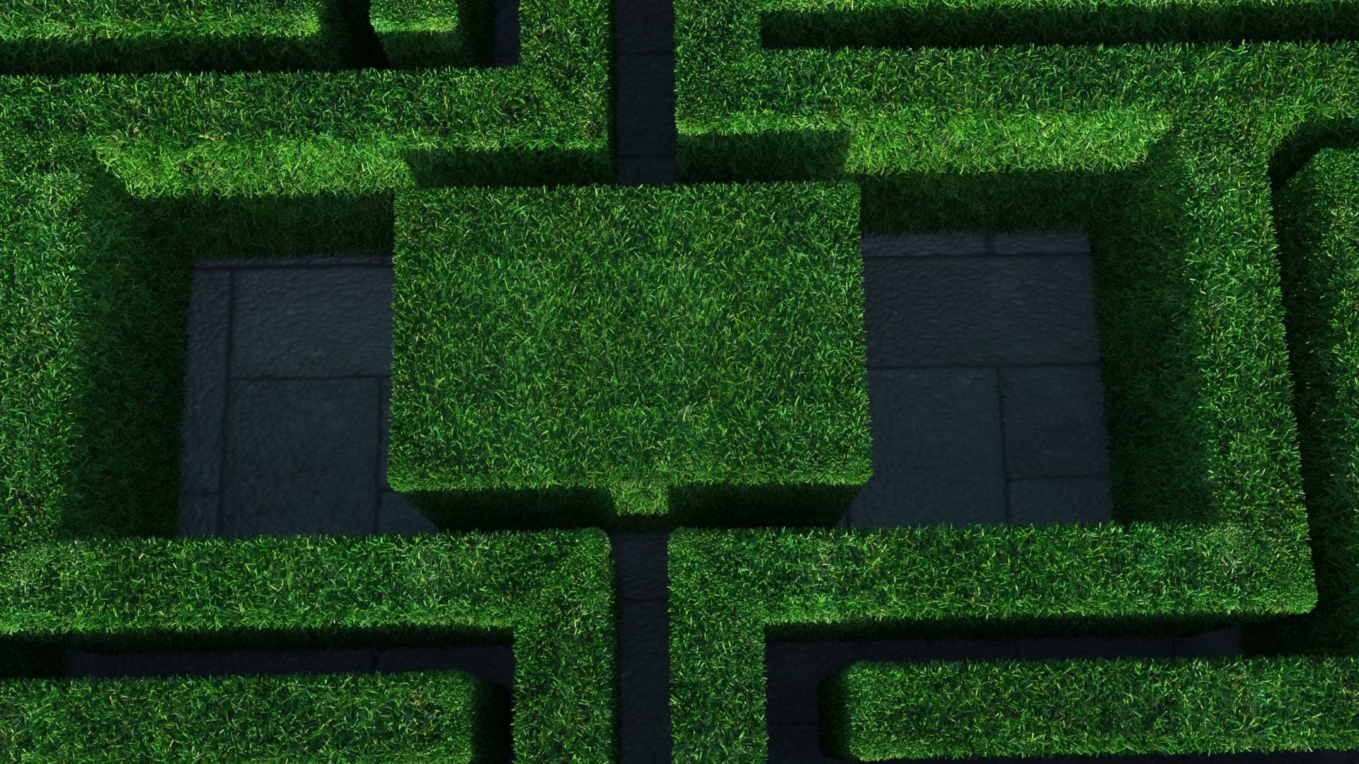 Rectangular Maze With Grass 3D model | CGTrader