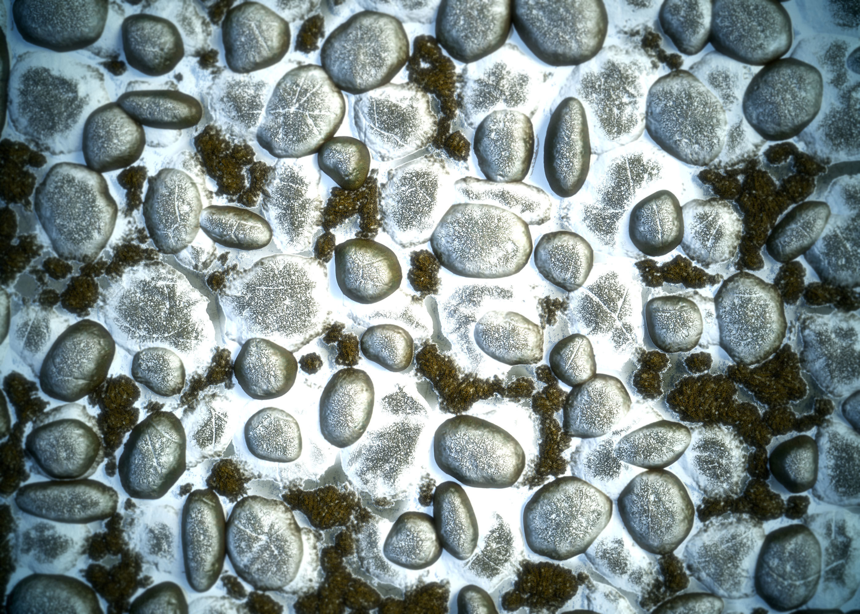Stone Floor water - VOL 03 - SBS - Maps Texture_9