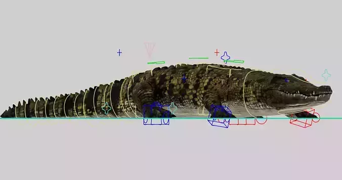 Realistic Crocodile 3D Model Rigged  and Game Ready Low-poly 3D model