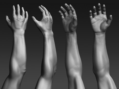 Daniel - various formats 3D model_11