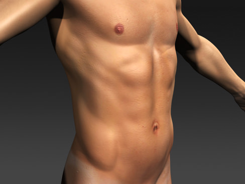 Daniel - various formats 3D model_2