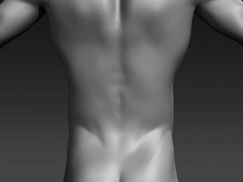 Daniel - various formats 3D model_10
