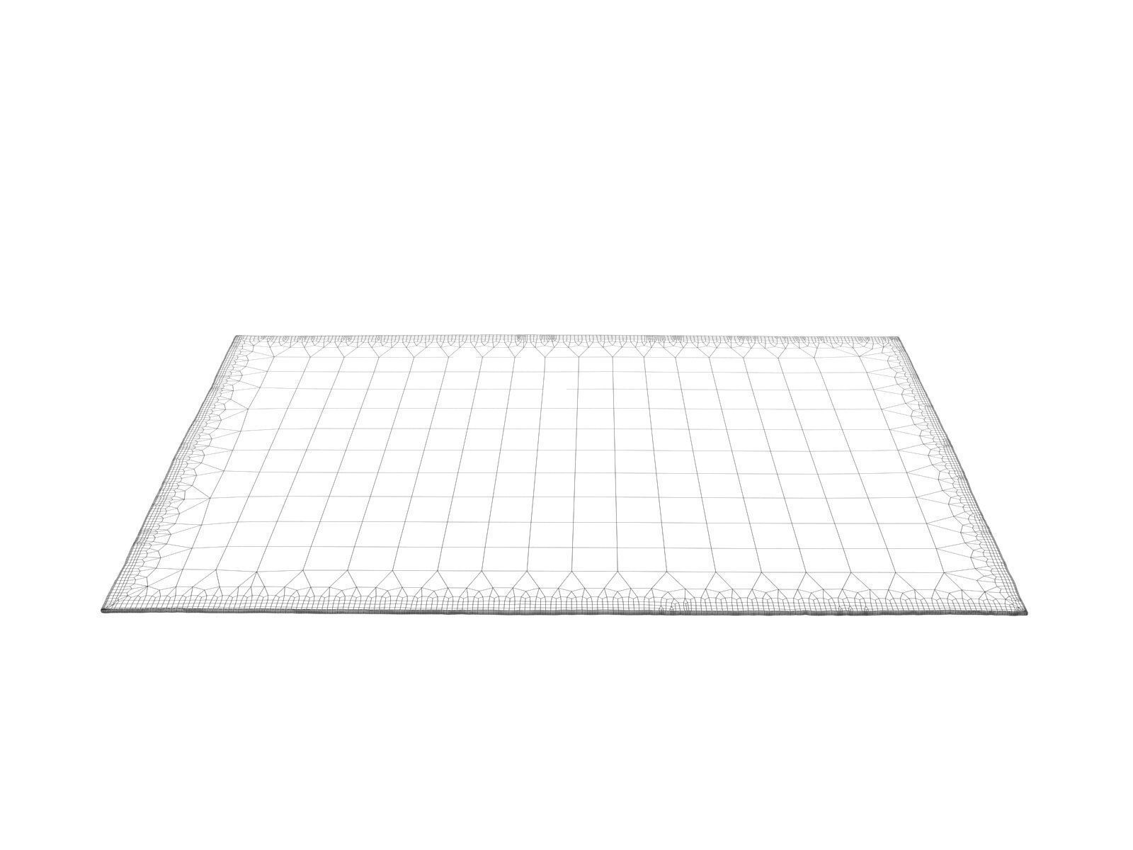 Sandmist Rug 3D model_3