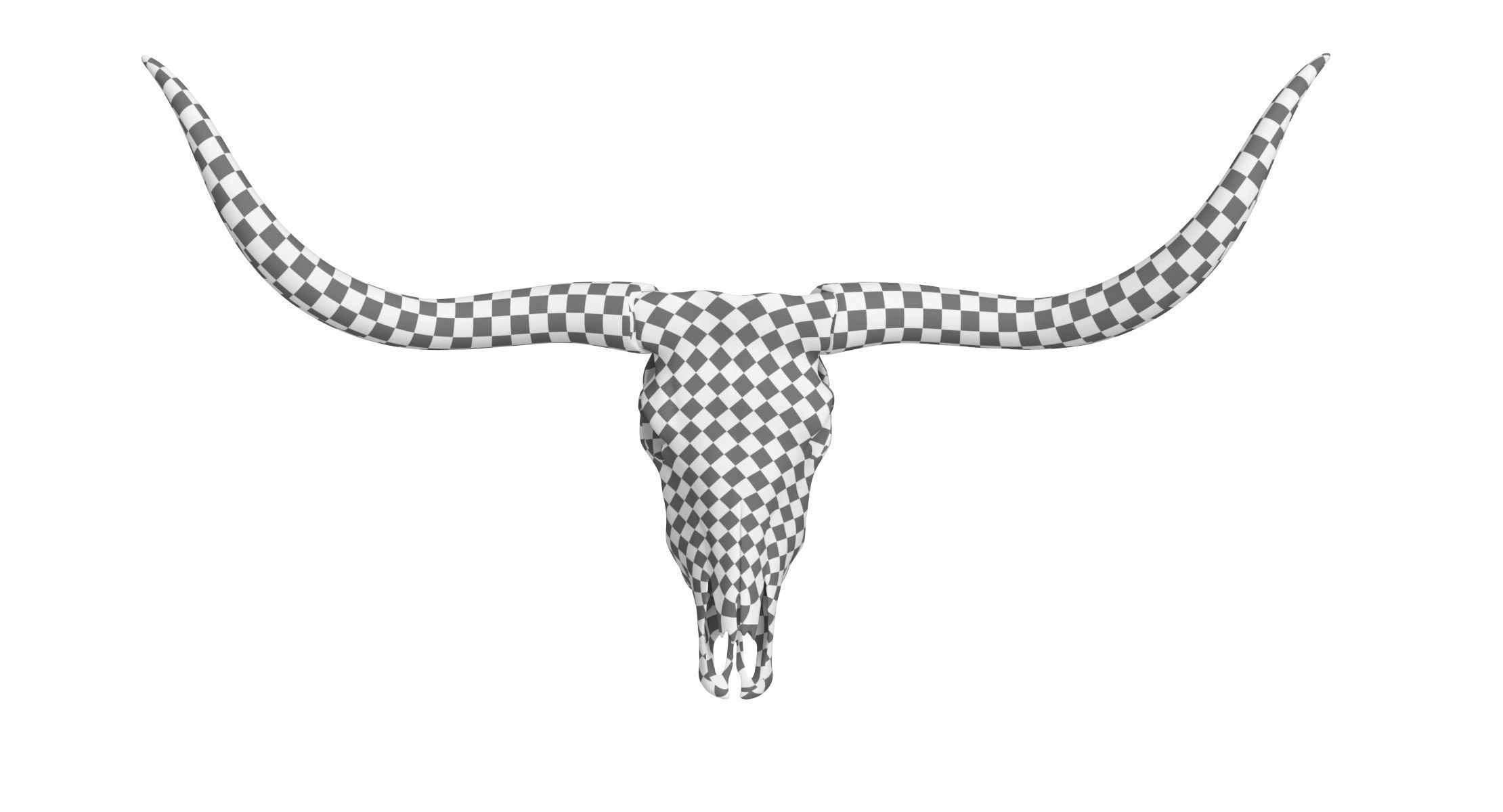Texas Longhorn Skull and Horns 3D model_8