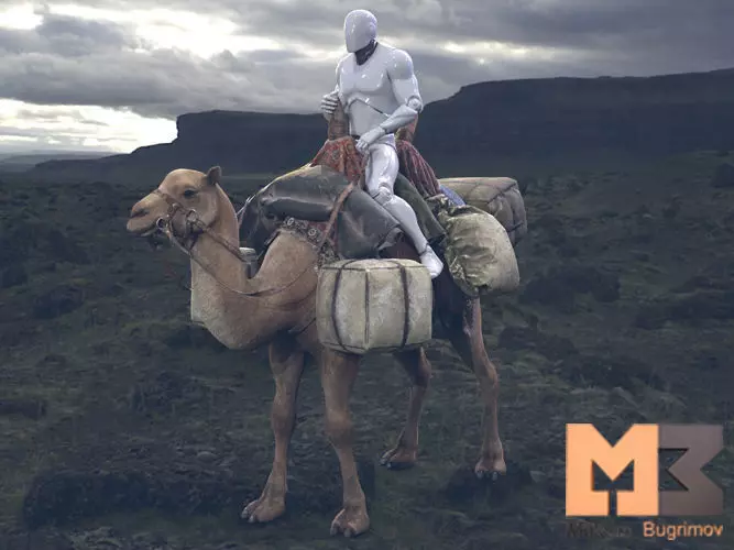 RPG Fantasy Camel Low-poly 3D model_0