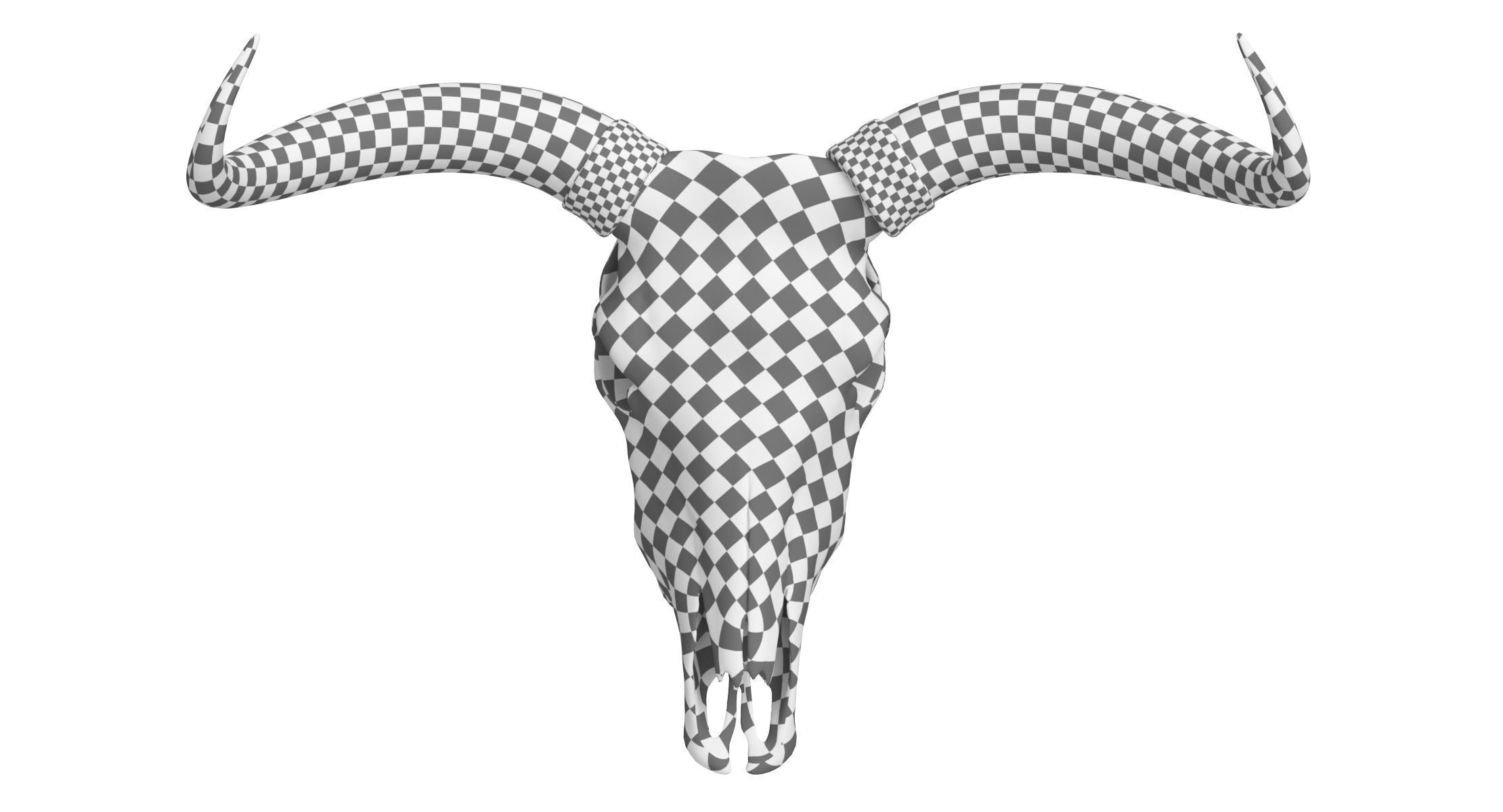 Cattle Cow Skull and Horns Collection 3D model_25