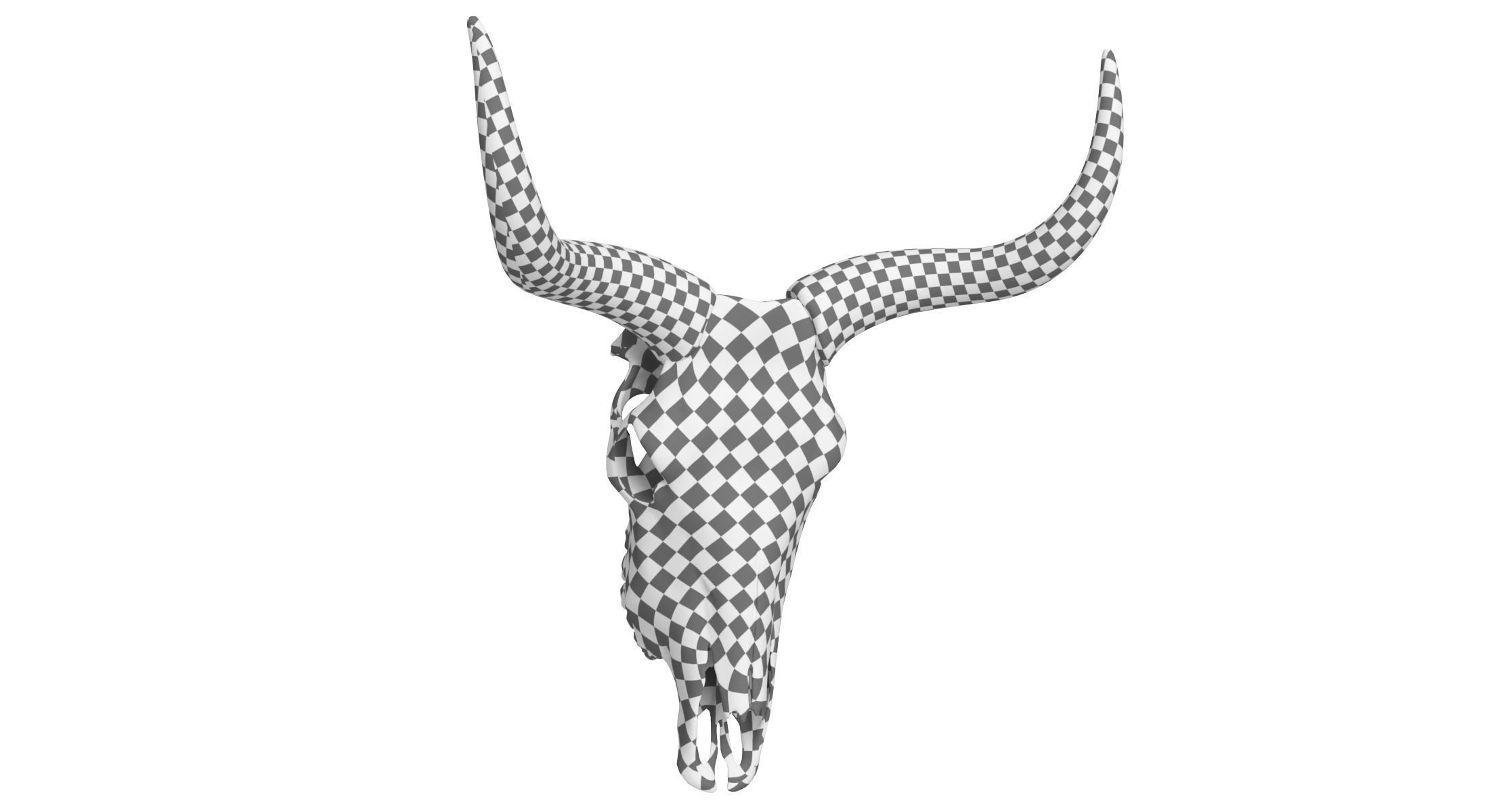 Cattle Cow Skull and Horns Collection 3D model_26