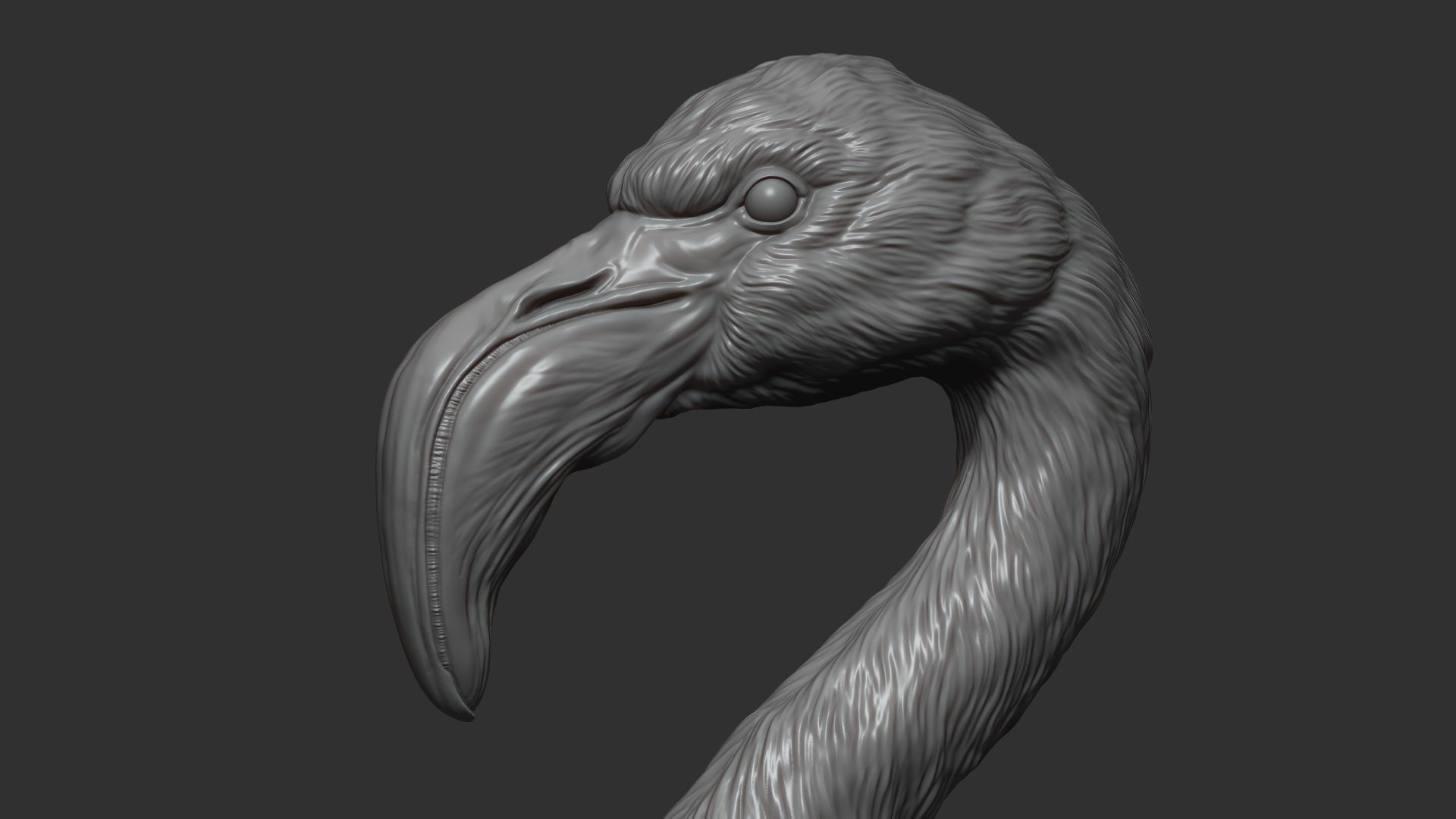 Flamingo bust 3D print model_1
