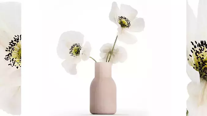 Beautiful Bouquet Of White Wild Flowers Poppy 467