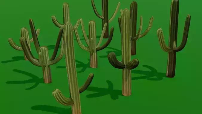 Cactus Pack 3D Model 