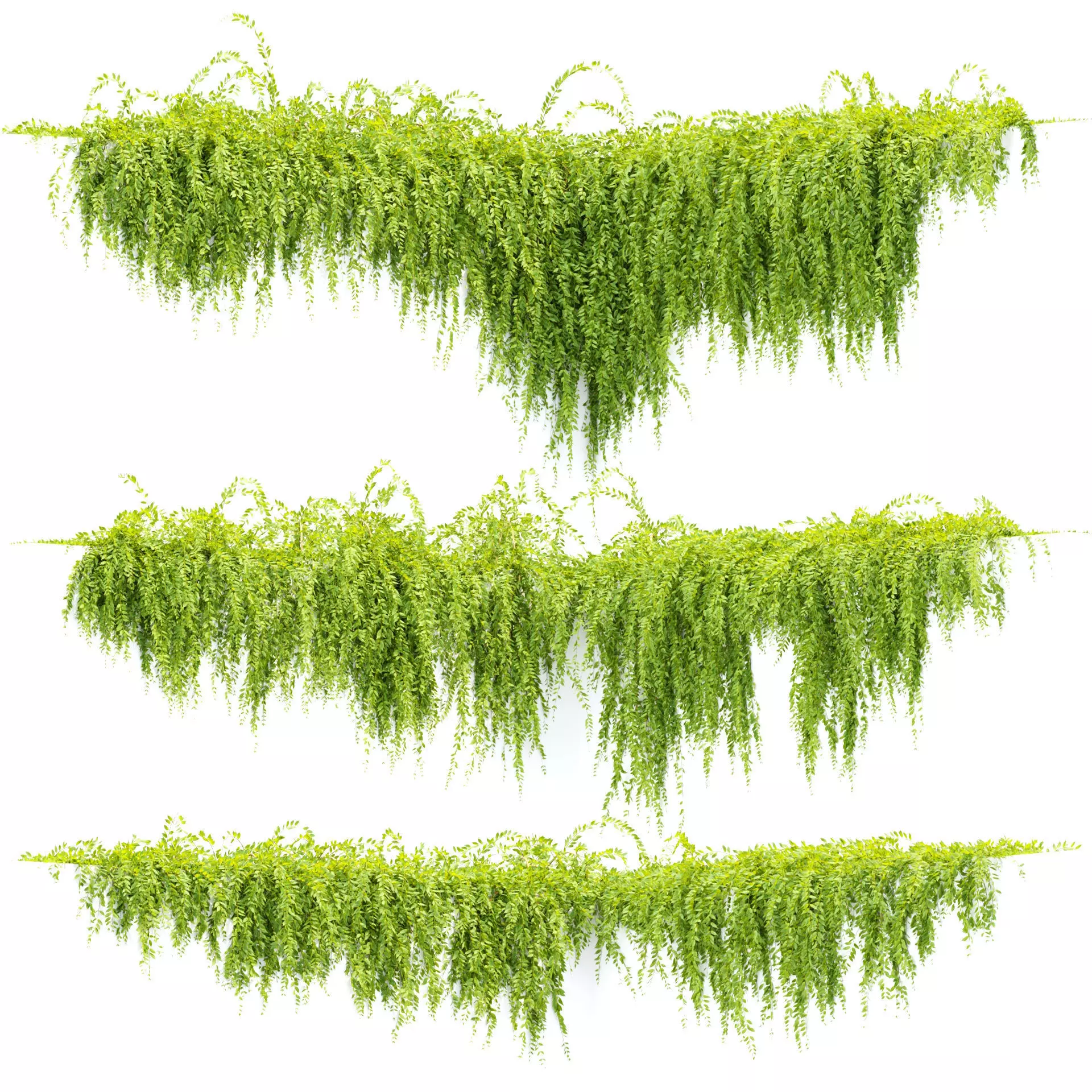 Hanging Creeper Plants 3D Models Collection Vol 282 Low-poly 3D model