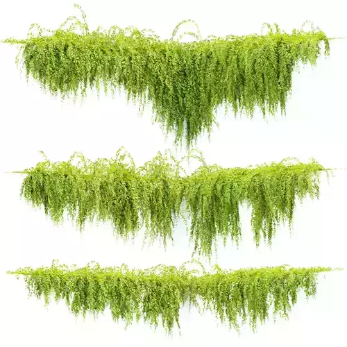 Hanging Creeper Plants 3D Models Collection Vol 282