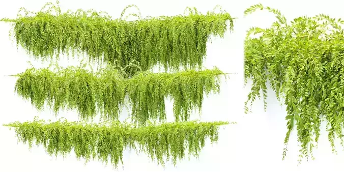 Hanging Creeper Plants Collection Vol 282-Blender