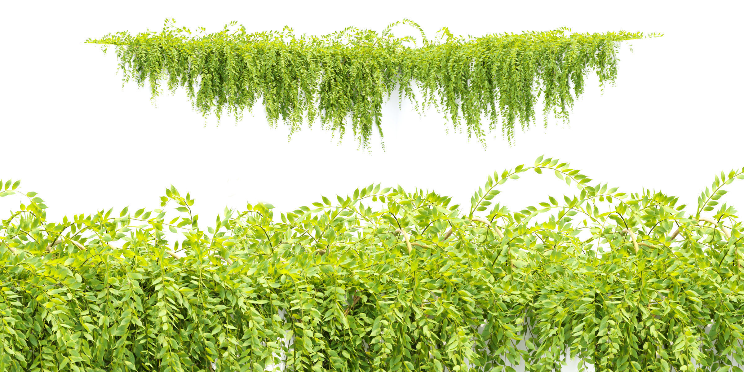 Hanging Creeper Plants Collection Vol 282-Blender 3D model_4