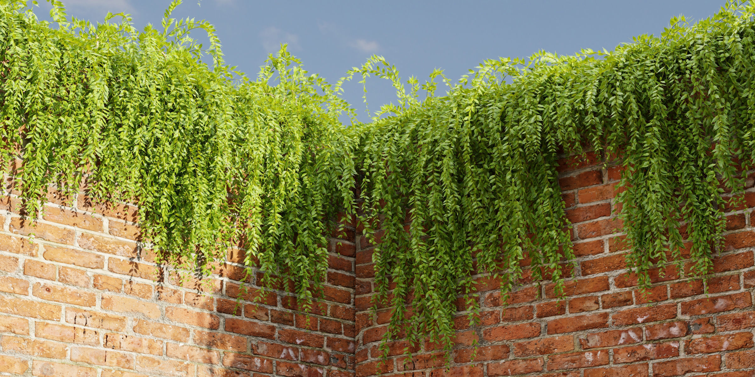 Hanging Creeper Plants Collection Vol 282-Blender 3D model_1