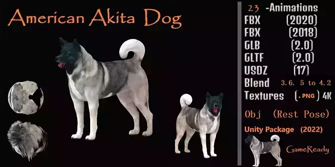 American Akita Dog Low-poly 3D model