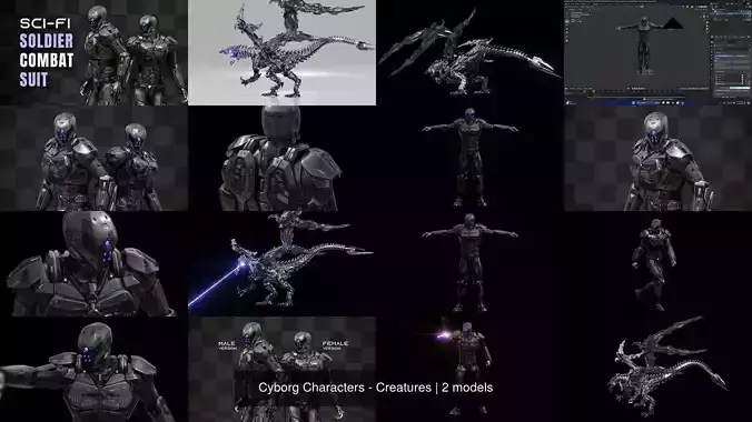 Cyborg Characters - Creatures 3D Model Collection