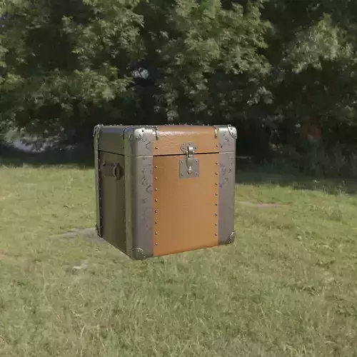   Chest Trunk 3D model